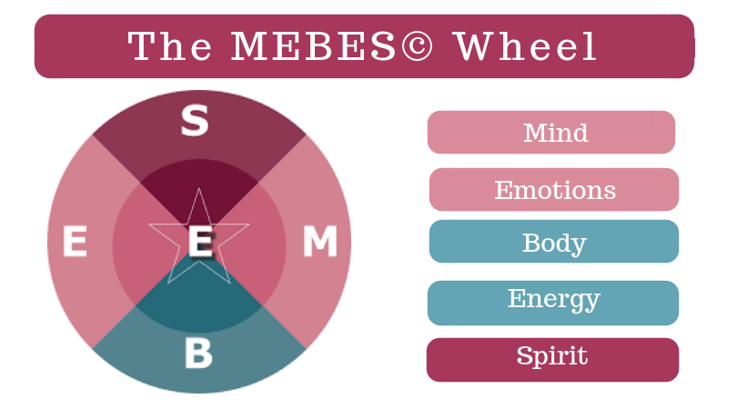 MEBES Wheel Signature System holistic sex coaching approach