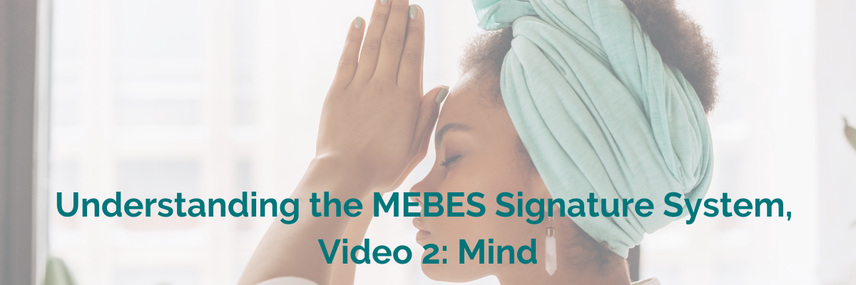 Understanding the MEBES Signature System Video 2 Mind