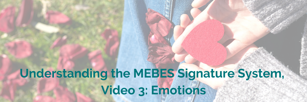 Understanding the MEBES Signature System video 3 emotions