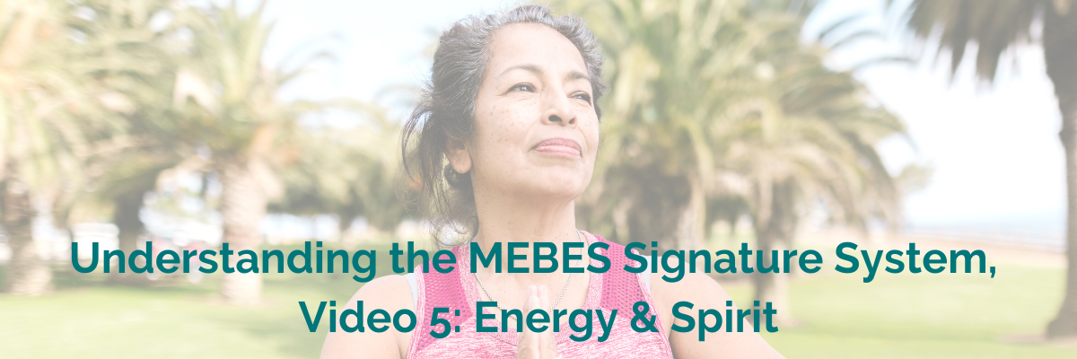 Understanding the MEBES Signature System video 5 energy spirit